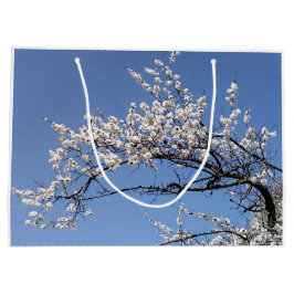 Zweig der Kirschblüte Große Geschenktüte