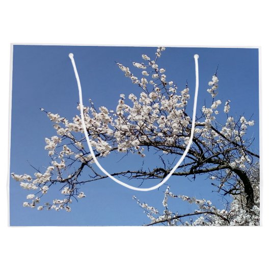 Zweig der Kirschblüte Große Geschenktüte (Rückseite)