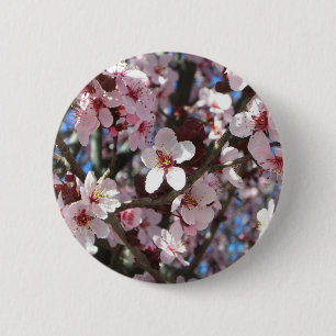 Zweig der rosa Blüten Frühlingsflora Button