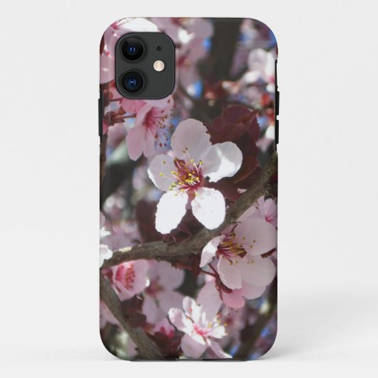 Zweig der rosa Blüten Frühlingsflora Case-Mate iPhone Hülle (Rückseite)