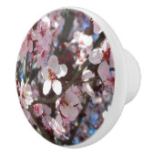 Zweig der rosa Blüten Frühlingsflora Keramikknauf (Rechts)