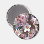 Zweig der rosa Blüten Frühlingsflora Magnet (Vorderseite/Rückseite)