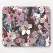 Zweig der rosa Blüten Frühlingsflora Mousepad (Vorne)