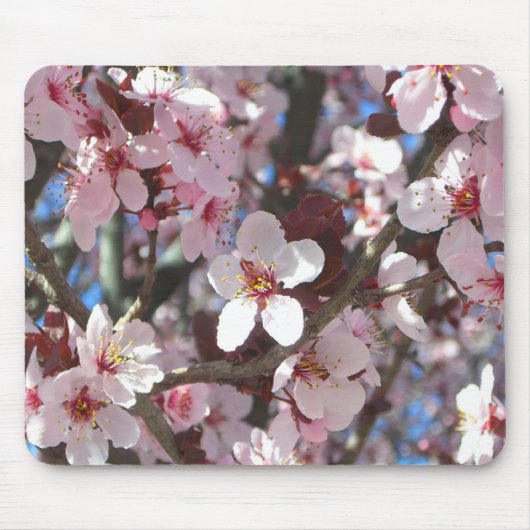 Zweig der rosa Blüten Frühlingsflora Mousepad (Vorne)