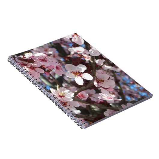 Zweig der rosa Blüten Frühlingsflora Notizblock (Rechte Seite)