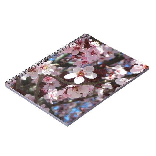 Zweig der rosa Blüten Frühlingsflora Notizblock (Linke Seite)