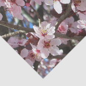 Zweig der rosa Blüten Frühlingsflora Seidenpapier (Ausschnitt)