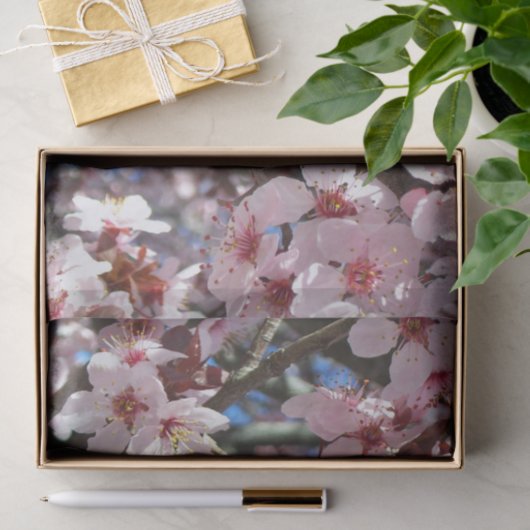 Zweig der rosa Blüten Frühlingsflora Seidenpapier (Geschenk)