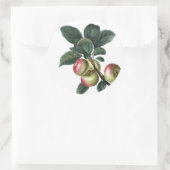 Zweig der roten Äpfel Runder Aufkleber (Tasche)