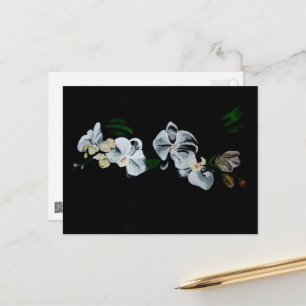 Zweig der weißen Orchideen Postkarte