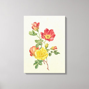 Zweig der wild lebenden Rose, Antoinette Luden, Leinwanddruck
