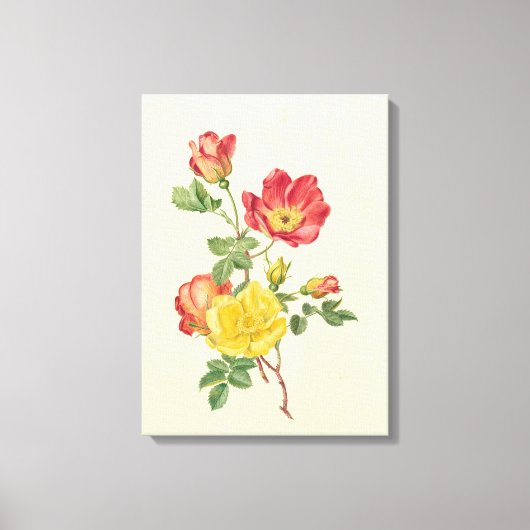 Zweig der wild lebenden Rose, Antoinette Luden, Leinwanddruck (Vorderseite)