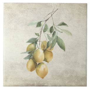 Zweig der Zitrone Mittelmeer-Aquarelle Rustikal  Fliese
