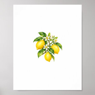 Zweig des Zitronenblüten-Wasserfarbemals Poster