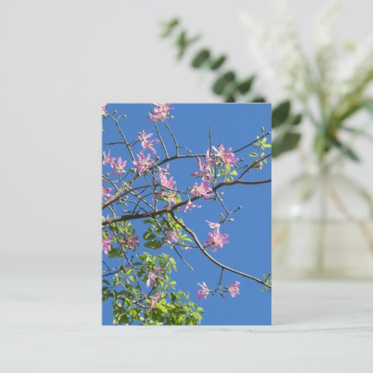 Zweig mit Blumen Postkarte (Stehend Vorderseite)