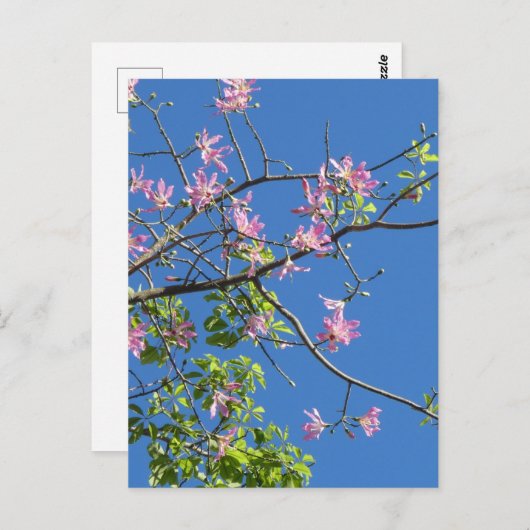 Zweig mit Blumen Postkarte (Vorne/Hinten)