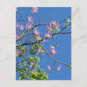 Zweig mit Blumen Postkarte (Vorderseite)