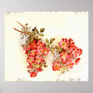 Zweig mit Rosenblüten individuell Poster