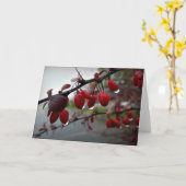 Zweig-Regen Karte (Gelbe Blume)