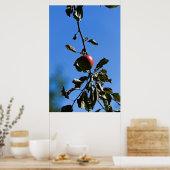 Zweige-Apfel Poster (Küche)