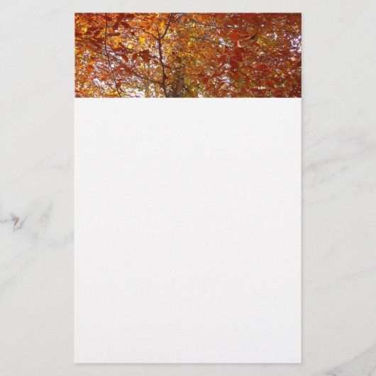 Zweige der Orangen Blätter Herbstnatur Briefpapier (Vorderseite)