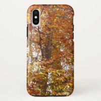 Zweige der Orangen Blätter Herbstnatur