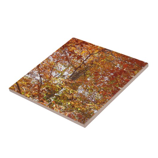 Zweige der Orangen Blätter Herbstnatur Fliese (Seite)