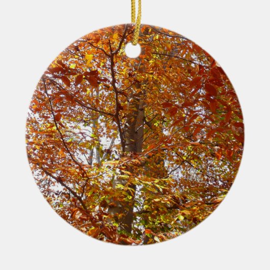 Zweige der Orangen Blätter Herbstnatur Keramik Ornament (Vorne)