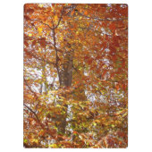 Zweige der Orangen Blätter Herbstnatur Klemmbrett (Rückseite)