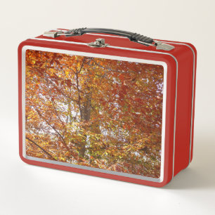 Zweige der Orangen Blätter Herbstnatur Metall Brotdose
