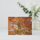 Zweige der Orangen Blätter Herbstnatur Postkarte (Stehend Vorderseite)