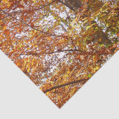 Zweige der Orangen Blätter Herbstnatur Seidenpapier (Ausschnitt)