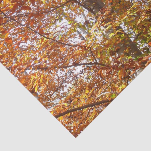 Zweige der Orangen Blätter Herbstnatur Seidenpapier (Ausschnitt)