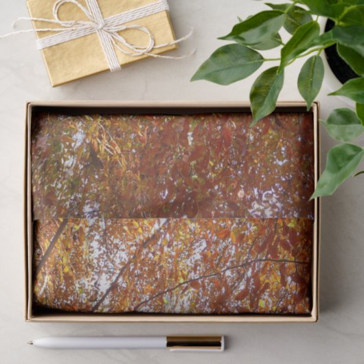 Zweige der Orangen Blätter Herbstnatur Seidenpapier (Geschenk)