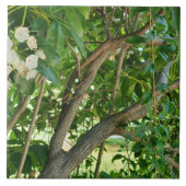 Zweige des Weißgebirges Laurel Fliese (Vorderseite)