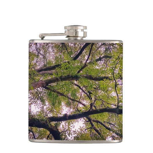 Zweige Flachmann (Vorderseite)