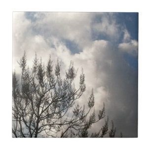 Zweige in den Wolken Fliese
