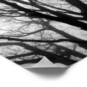 Zweige in der Nebelfotografie Poster (Ecke)