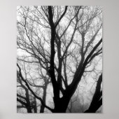 Zweige in der Nebelfotografie Poster (Vorne)