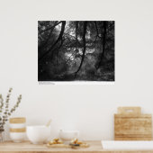 Zweige, in die Sonne, UC Santa Cruz, 1963 Poster (Küche)