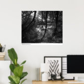 Zweige, in die Sonne, UC Santa Cruz, 1963 Poster (Heimbüro)