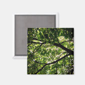 Zweige Magnet (Vorderseite/Rückseite)