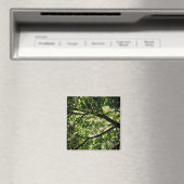 Zweige Magnet (In Situ (Geschirrspüler))