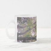 Zweige Mattglastasse (Links)