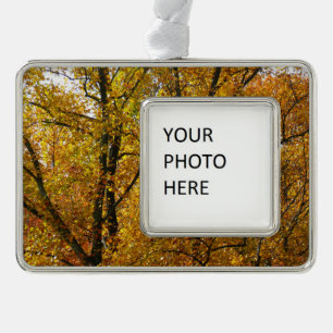 Zweige mit gelben Blättern in strahlendem Herbst i Rahmen-Ornament Silber