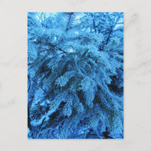 Zweige mit Schnee- und Frostkristallen bedeckt Postkarte