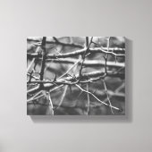 Zweige mit Stacheln Leinwanddruck (Vorderseite)