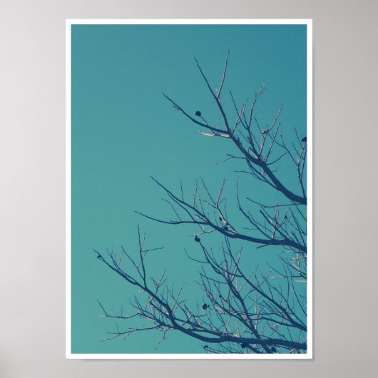 Zweige Poster (Vorne)