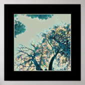 Zweige Poster (Vorne)