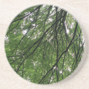 Zweige und Blätter Untersetzer